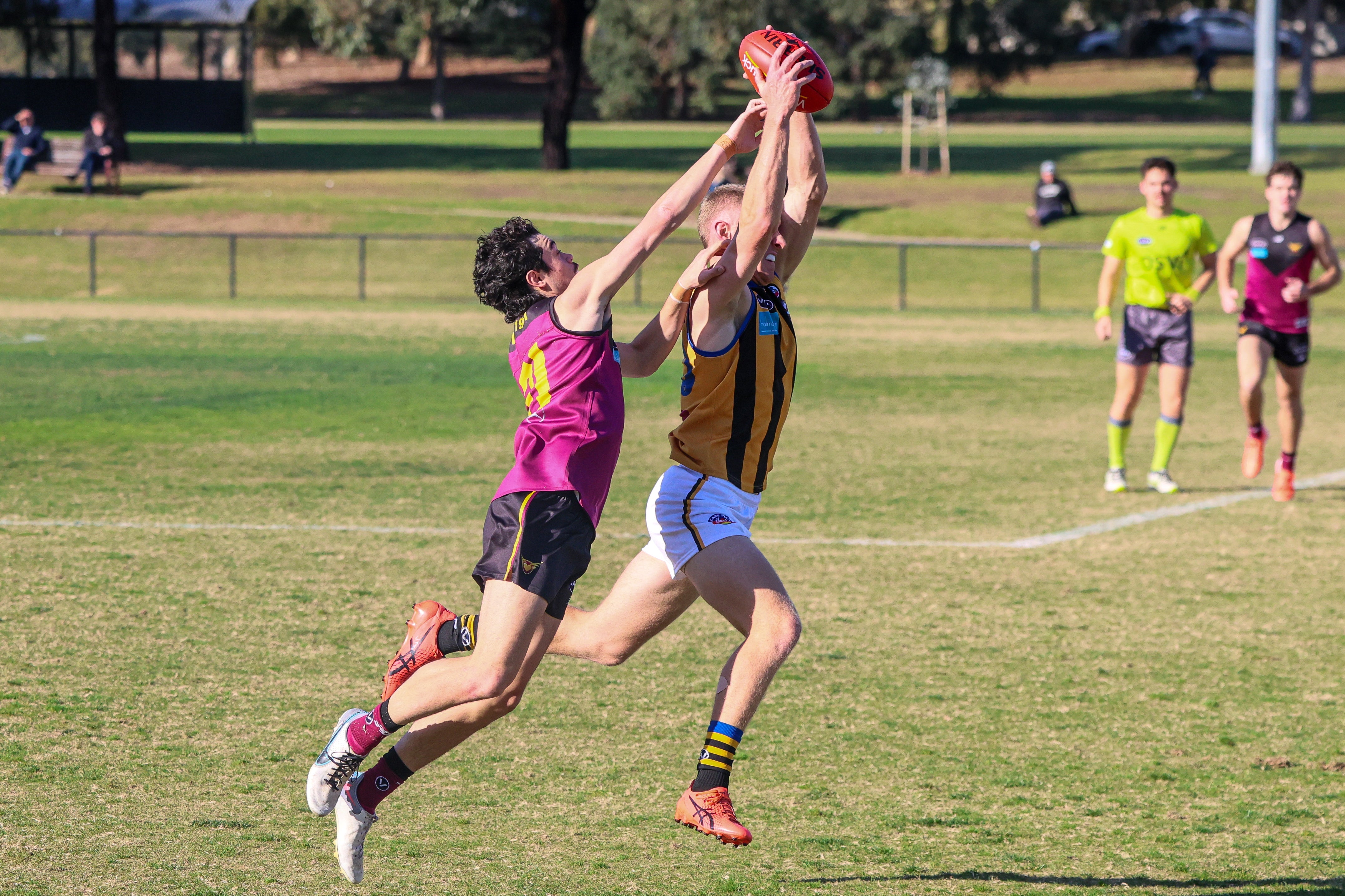 Brave Fightback Falls Short Against Old Haileybury