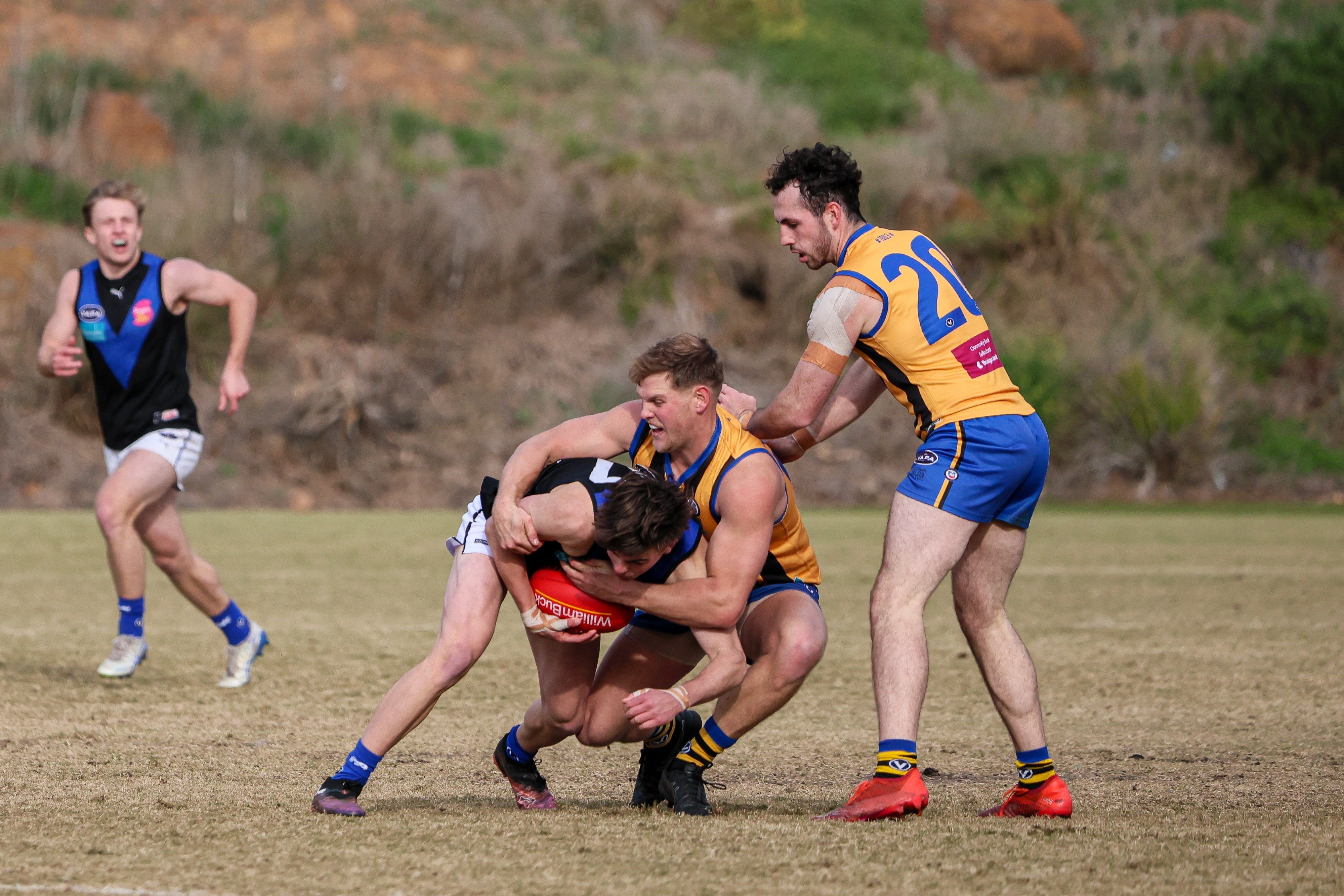 A Thriller at the Snakepit