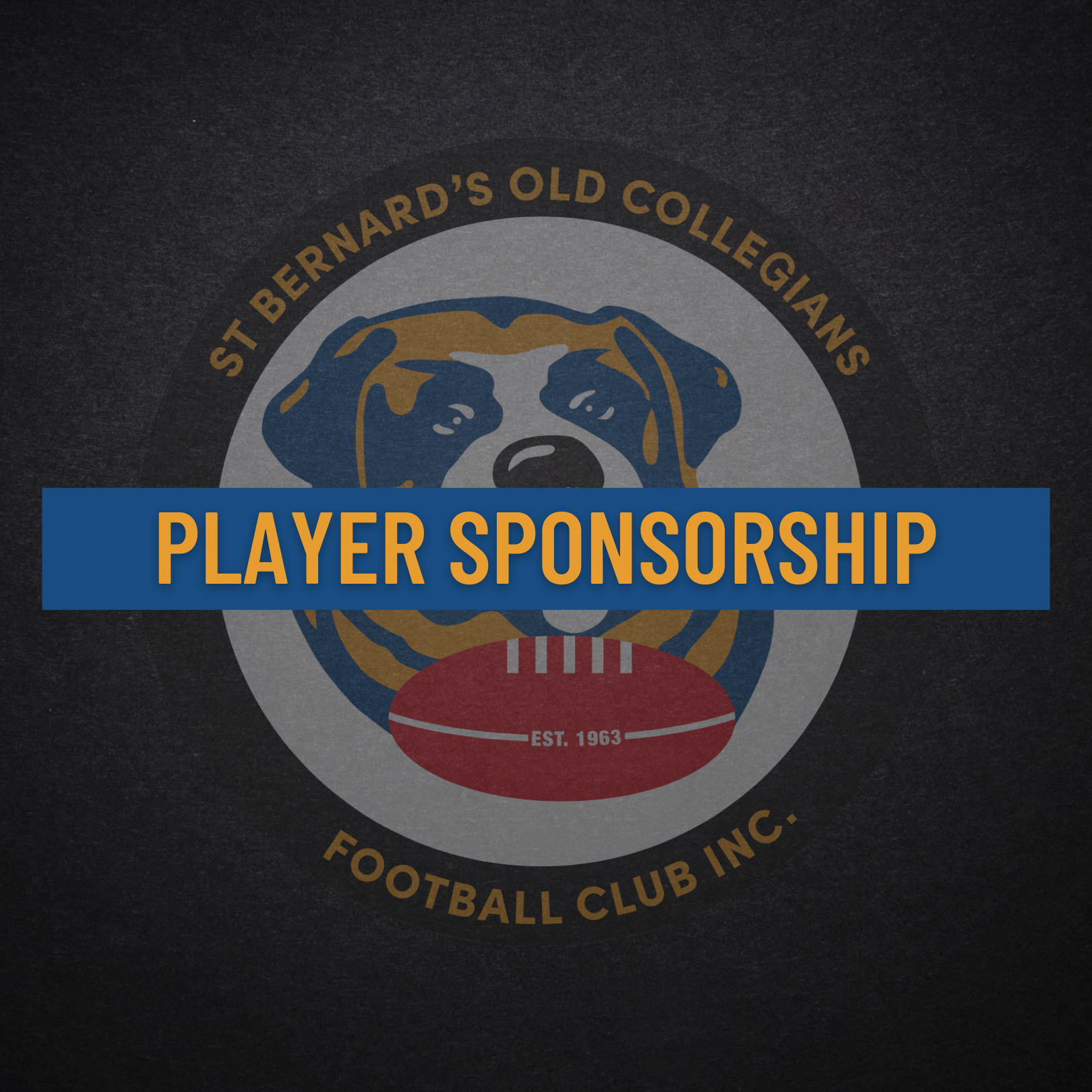 Player Sponsorship Player Sponsorship