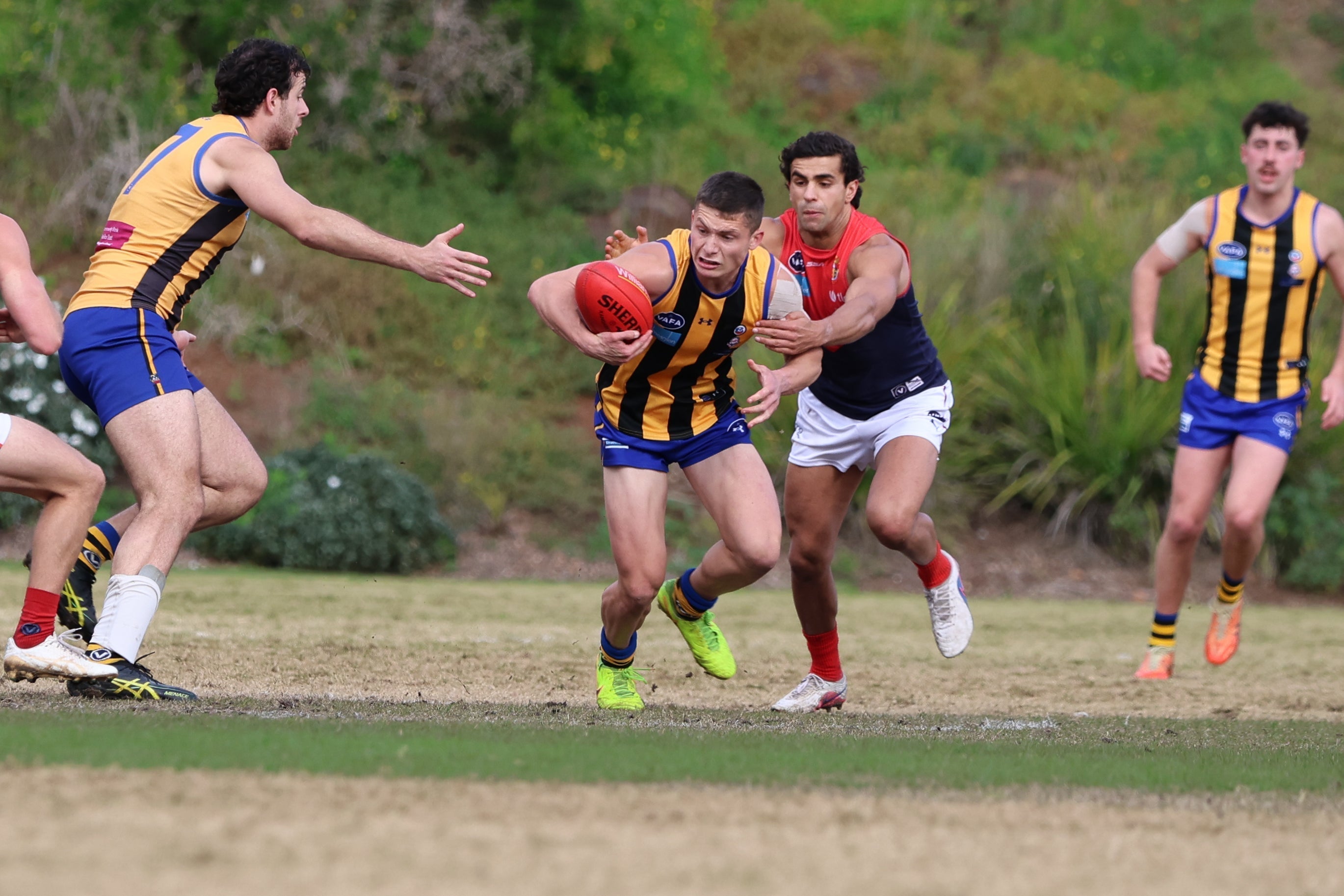 Hope Turns Heartbreak at the Snakepit