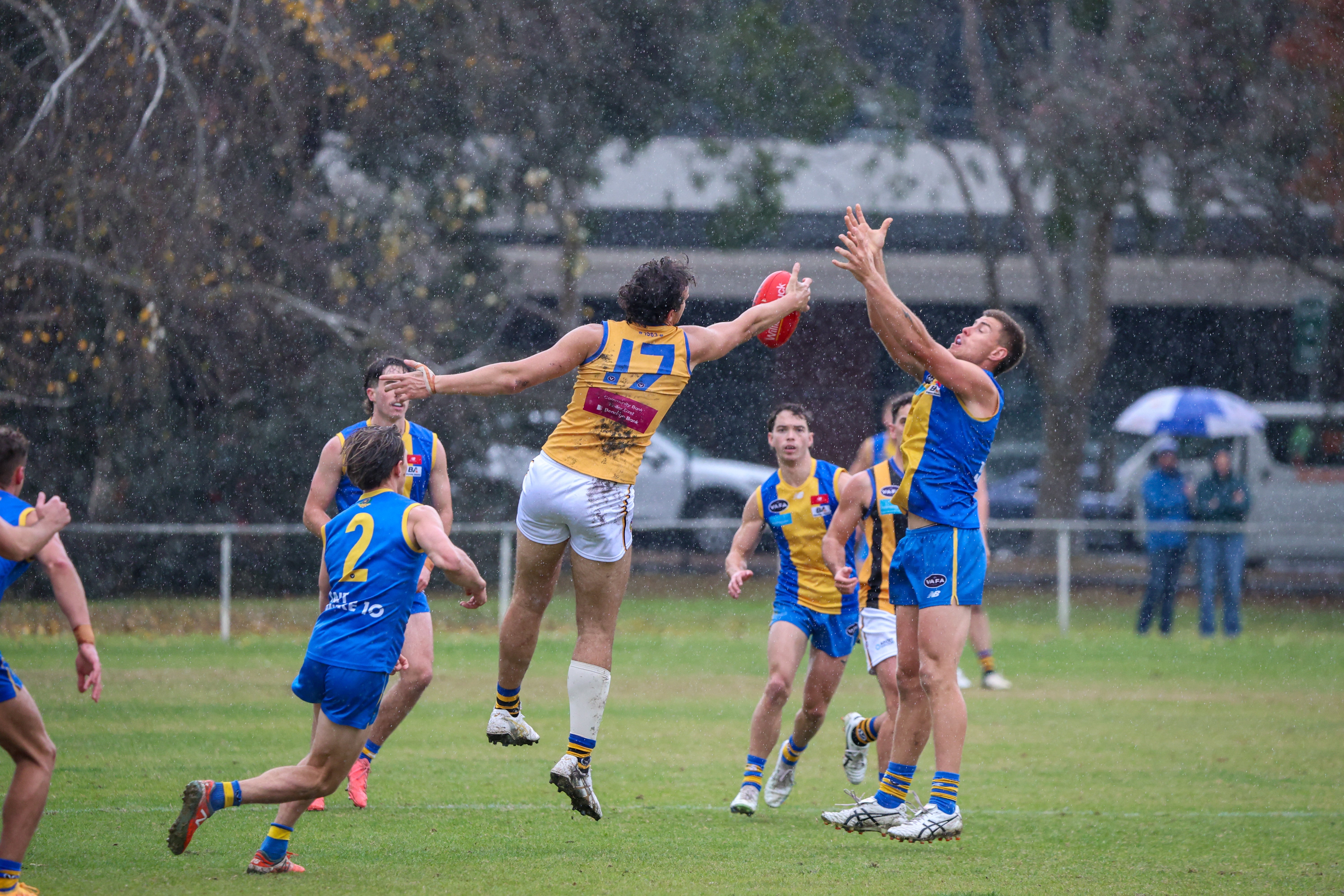 St Bernard’s Power Past De La Salle in Wet-Weather Win