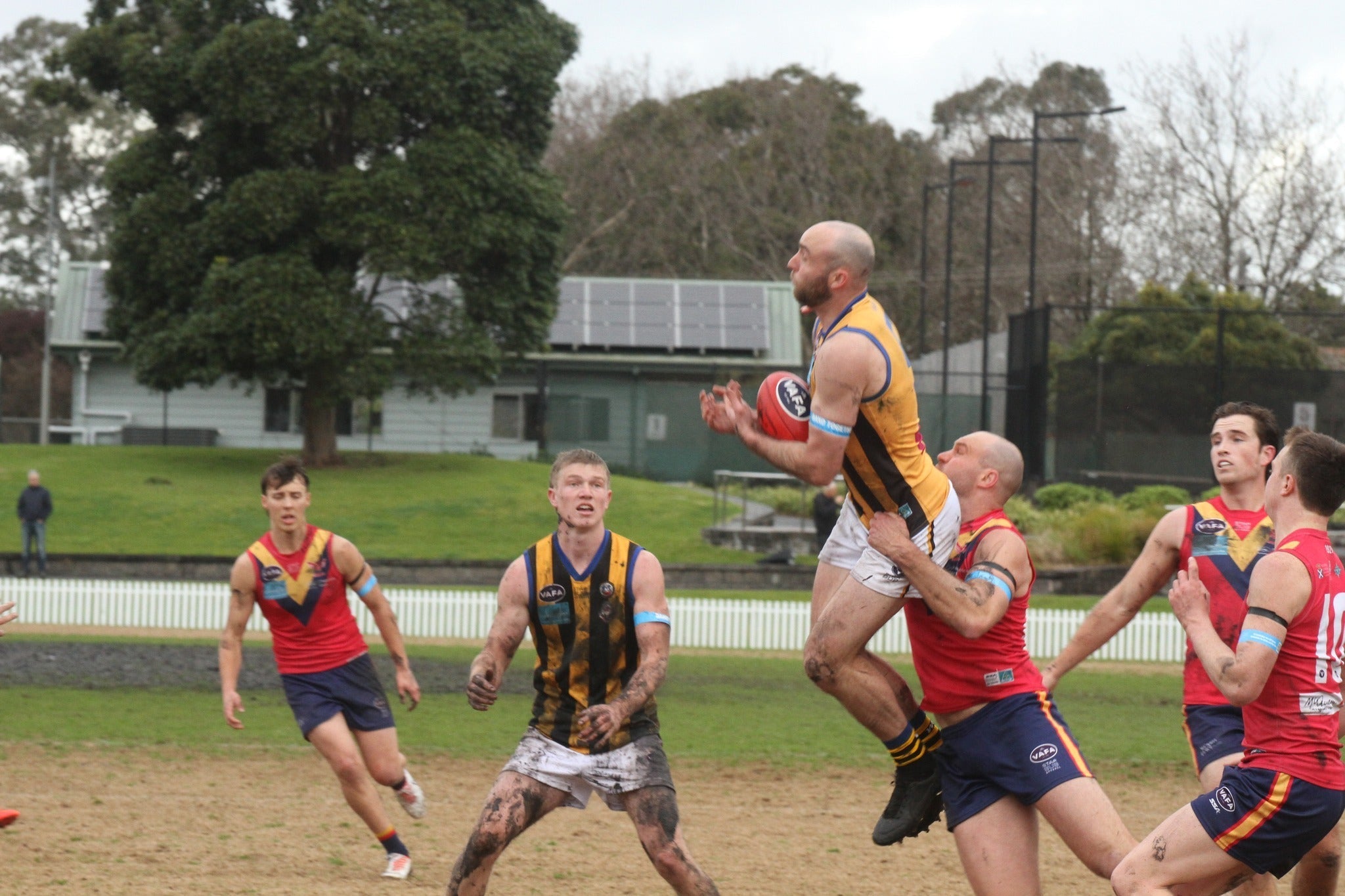 Round 7 William Buck Premier Men’s Preview