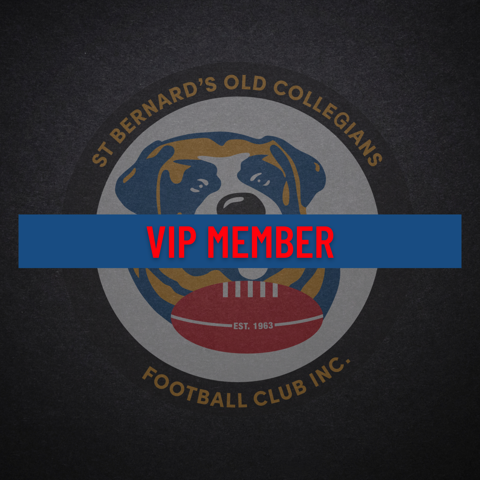 VIP Member