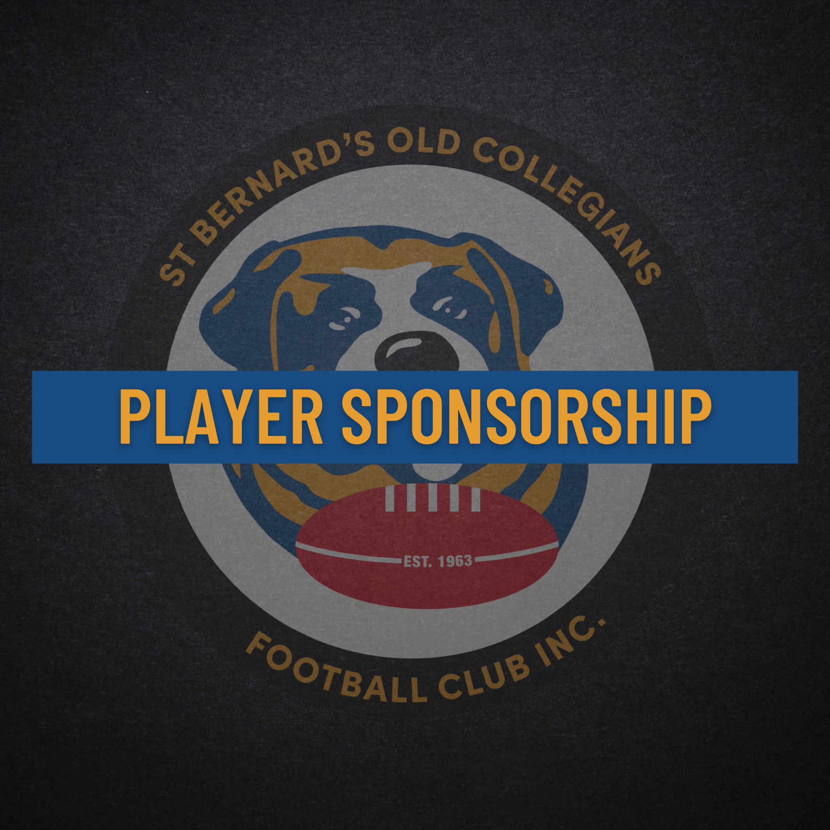 Player Sponsorship (Basic)